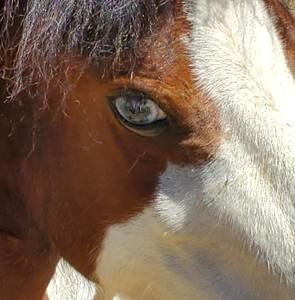 Meet your Posher, Lynn